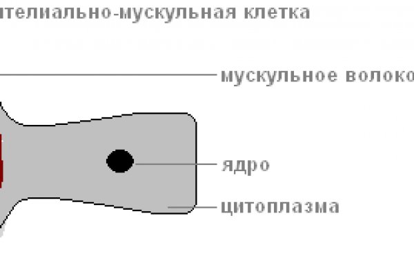 Зайти на мегу зеркало