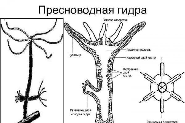 Мега ссылка форум